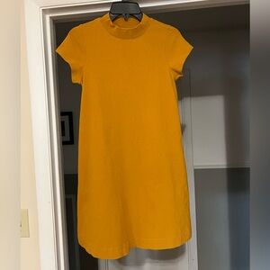 Everlane Weekend Tee Dress